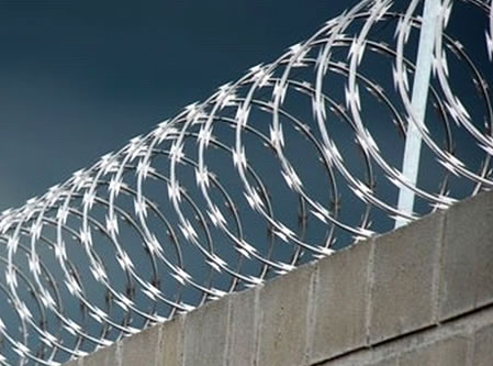 Concertina 2