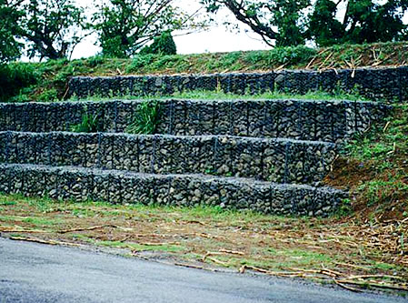 Gavión 2